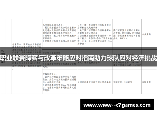 职业联赛降薪与改革策略应对指南助力球队应对经济挑战 职业联赛降薪与改革策略应对指南助力球队应对经济挑战