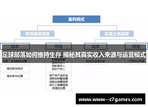 足球部落如何维持生存 揭秘其真实收入来源与运营模式